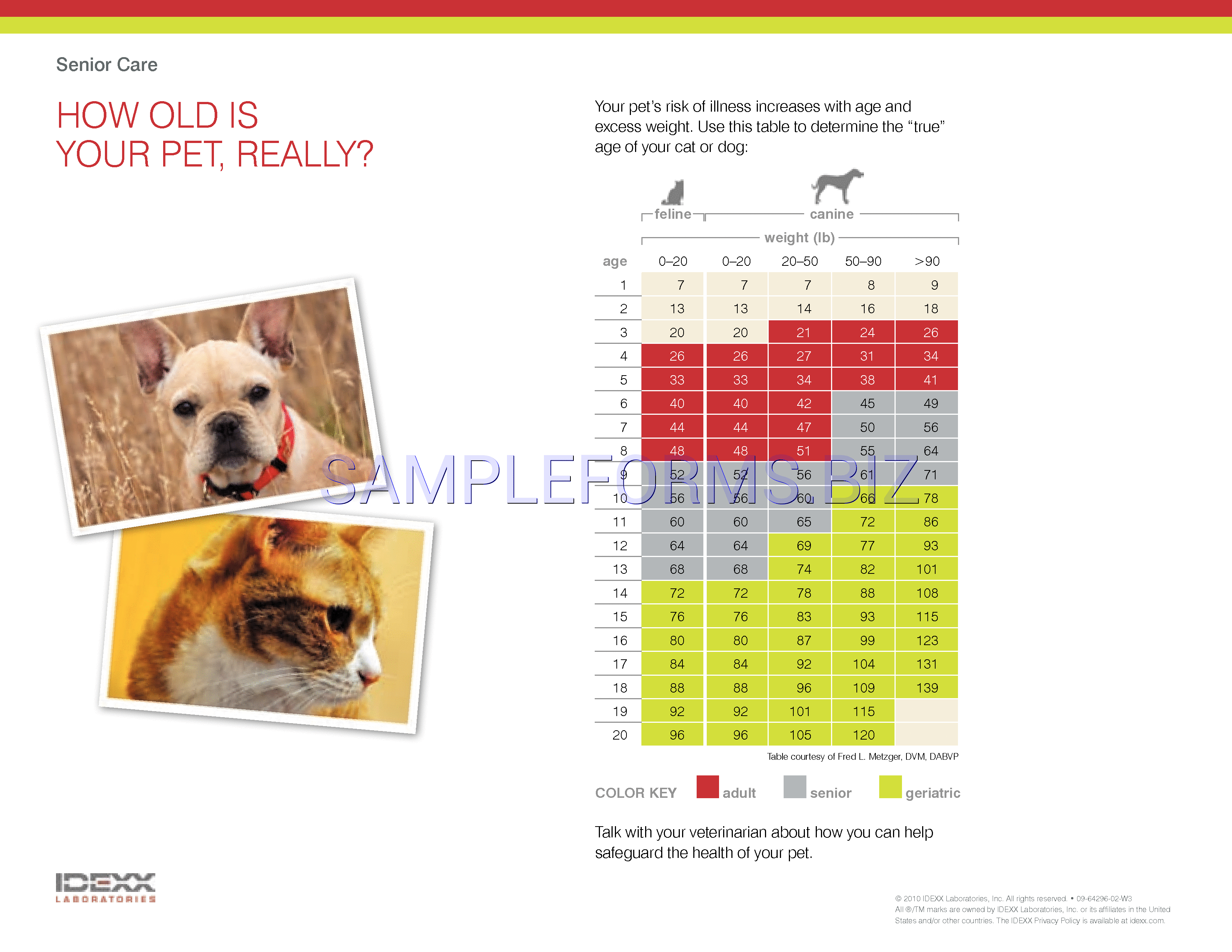 Preview free downloadable Dog Years Chart 1 in PDF (page 1)